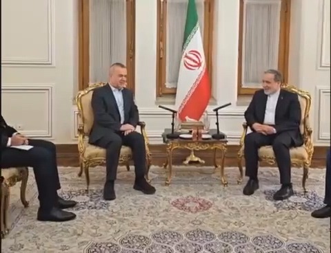 عراقجي مستقبلاً فضل الله في طهران.