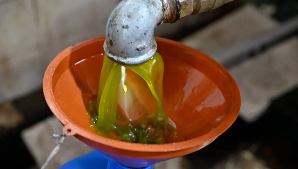 زيت الزيتون (النهار).