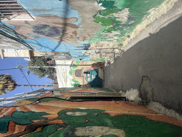 رسومات غرافيتي في أحد أحياء وادي حلوة. (النهار)