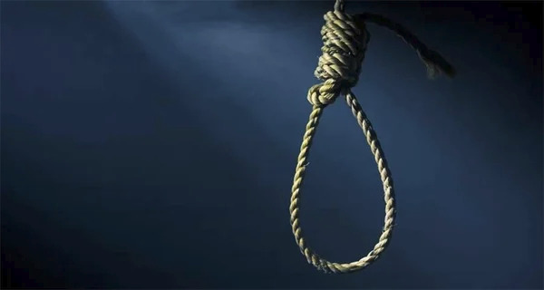 مشنقة (من الانترنت).