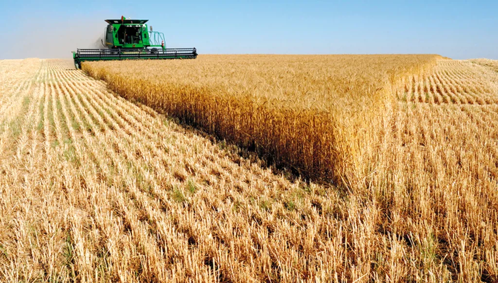 روسيا تستهدف دخول سوق البذور بعد تقلص الأسواق أمام إنتاجها من الحبوب