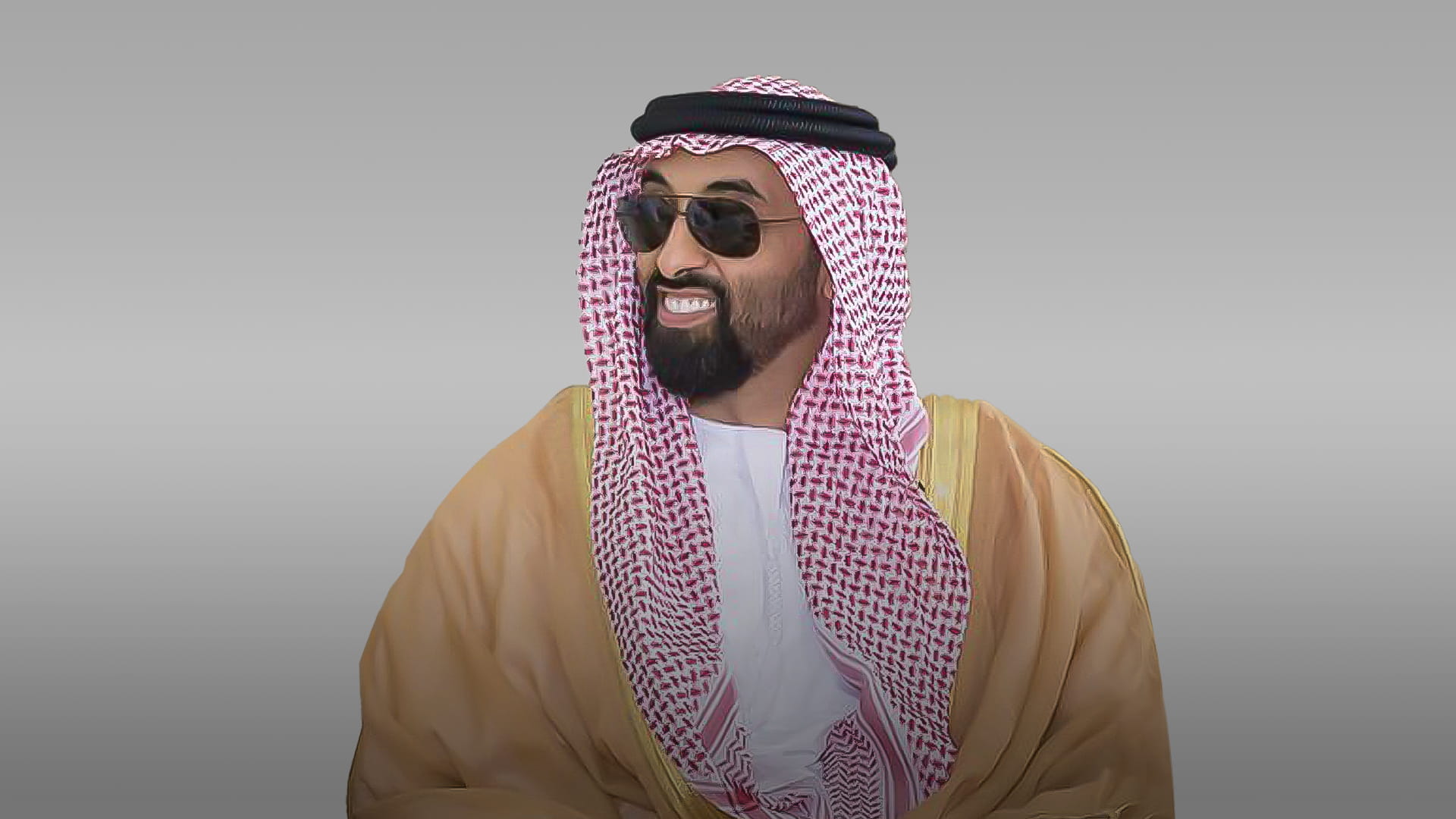 الشيخ طحنون بن زايد (أرشيفية)