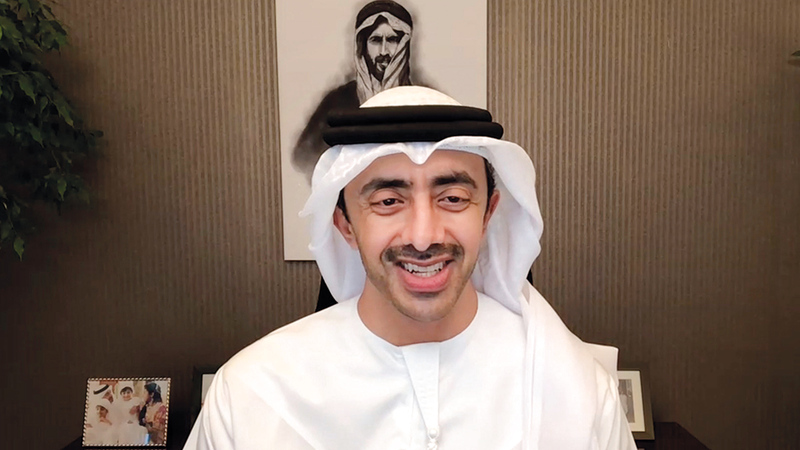 عبدالله بن زايد (أرشيفية).