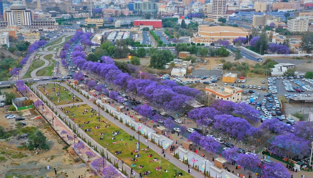 أبها السعودية... عروس الجنوب التي لا تنطفئ
