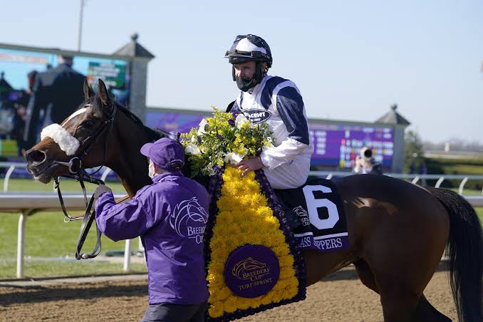من كأس المربين العالمية للخيول. (Breeders’ Cup)