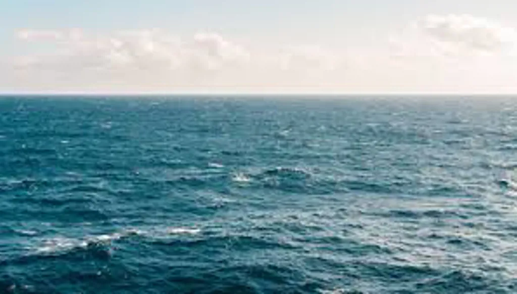 فكر "برجومائي"