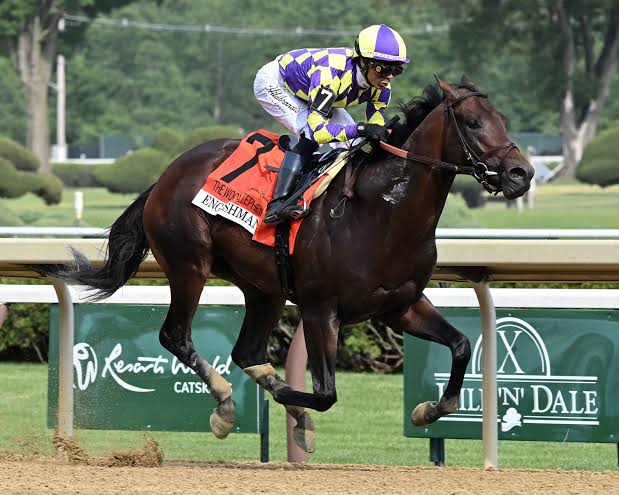 من كأس المربين العالمية للخيول. (Breeders’ Cup)