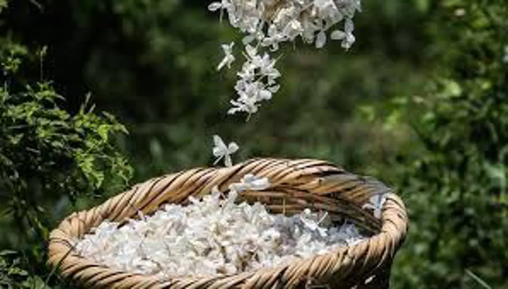 اليكَ، ليتكَ تقرأ …شكراً لحبّكَ