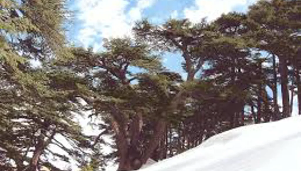 لبنان… هل يتحقّق؟