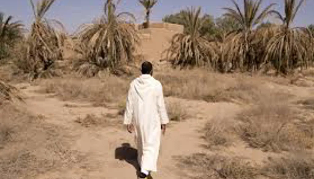 المغرب في سباق مع الوقت: الجفاف يضربه بقوة