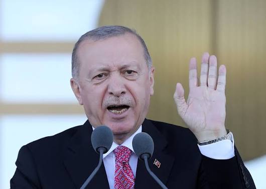 رجب طيب إردوغان (أرشيفية).