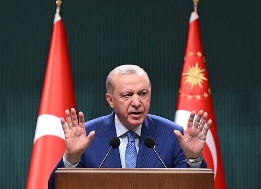 رجب طيب أردوغان (أرشيفية).