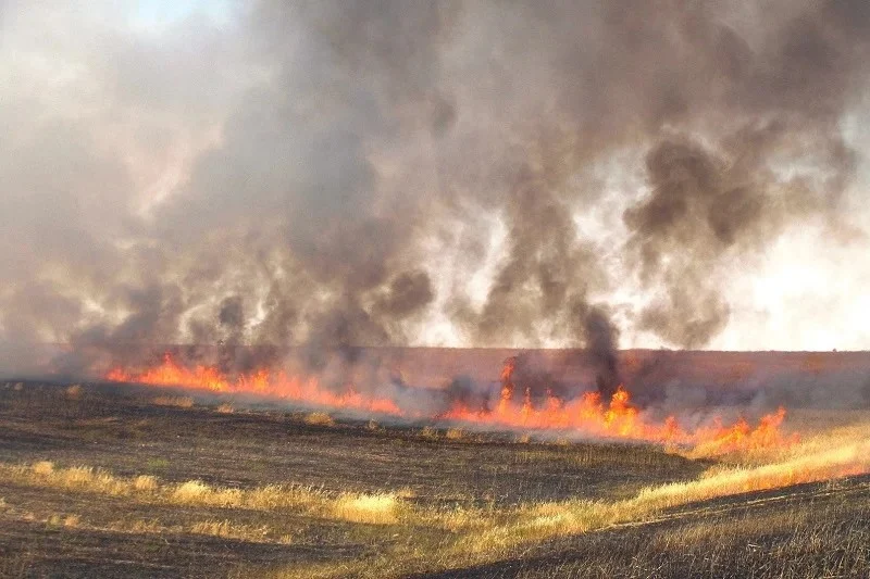 حرائق في المحاصيل الزراعية بالمغرب (إكس).