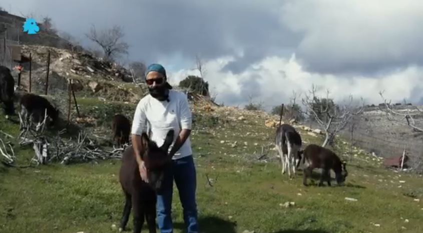 الشاب اللبناني شبلي أبو عاصي صاحب مزرعة حمير في الشوف (يوتيوب النهار)