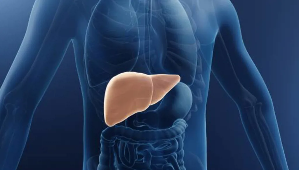 5 عادات شائعة قد تضر بالكبد بشكل صامت!