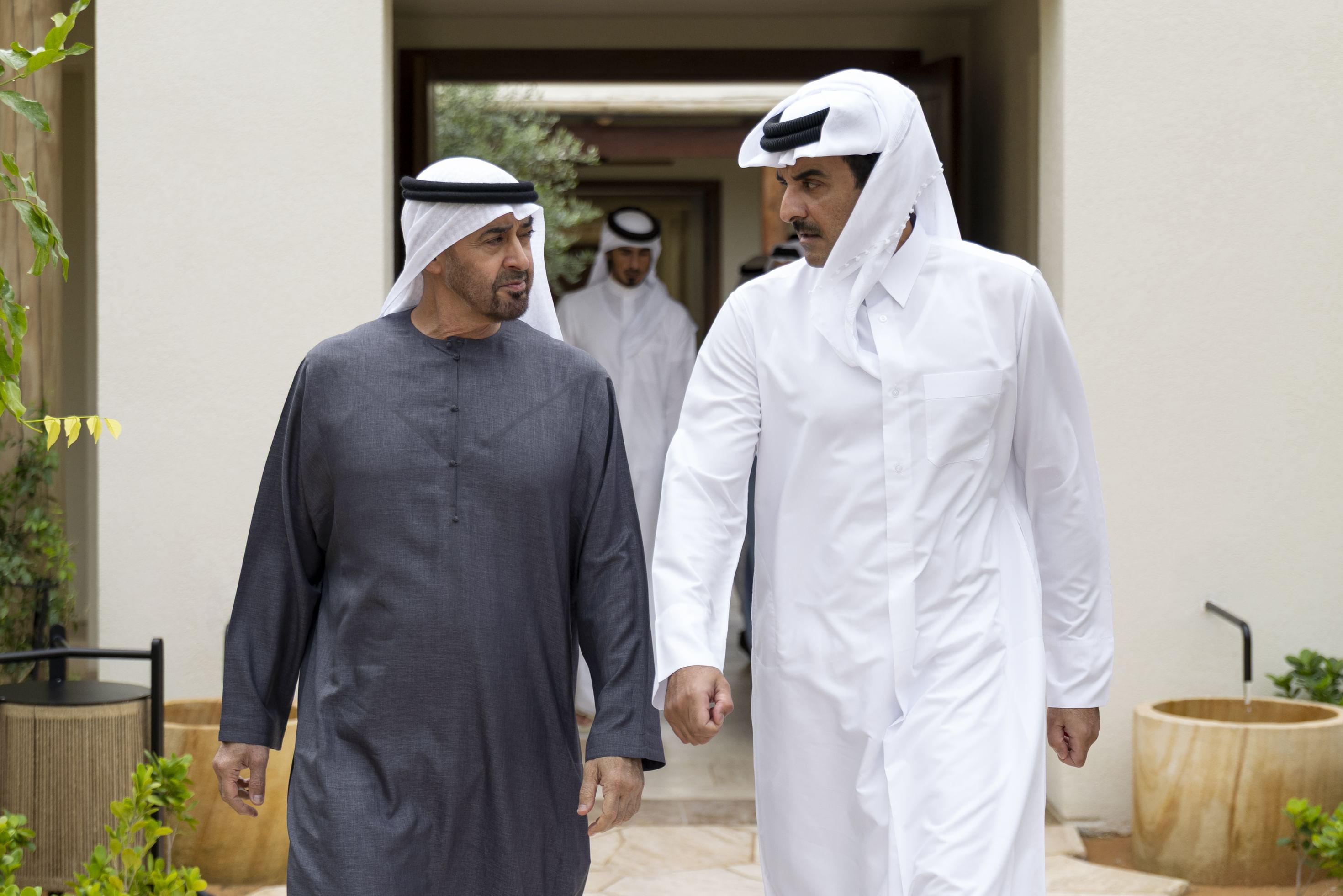 الرئيس الإماراتي يستقبل أمير قطر  (وام). 