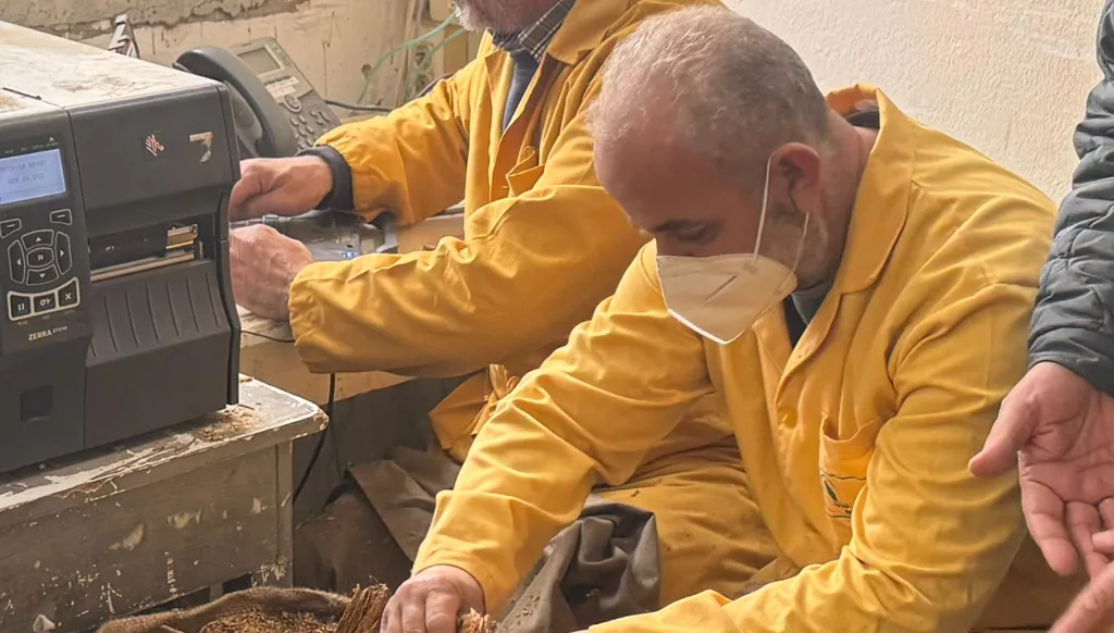 تسلّم المحاصيل من مزارعي التبغ في الجنوب