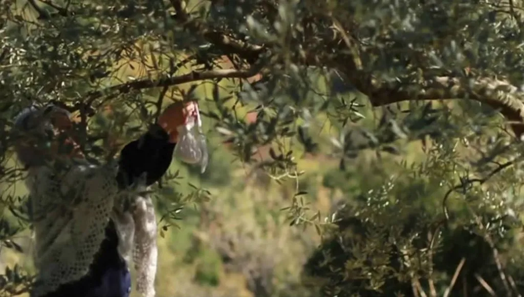 Epiphanie : Le Liban, un pays de foi et de diversité