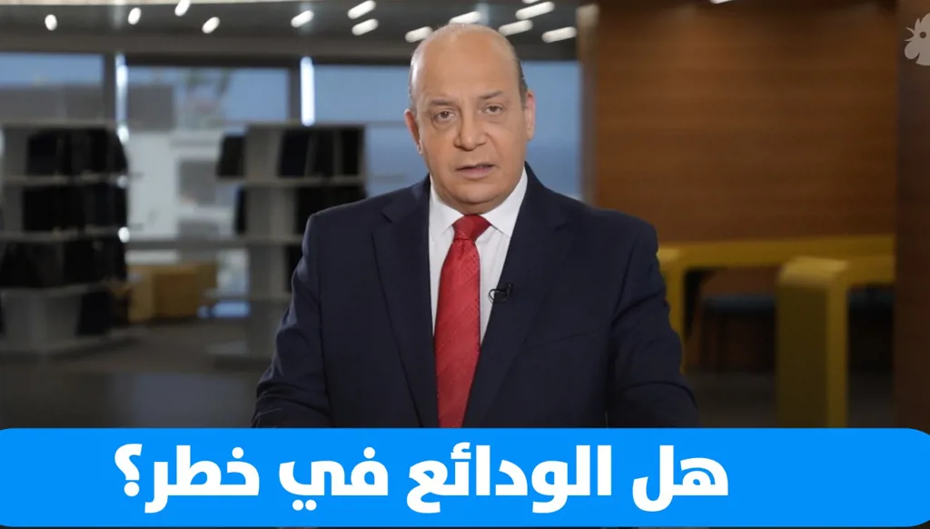 علي حمادة: صندوق النقد الدولي يضغط على الحكومة لشطب أكثر من 16 مليار دولار تدين بها لمصرف لبنان