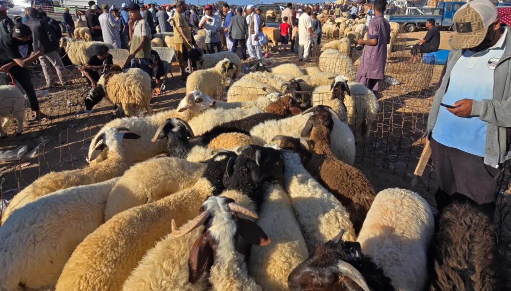 عيد الأضحى في ليبيا: طوابير لـ"الكاش" وتمسّك بتقاليد وقلق أمني