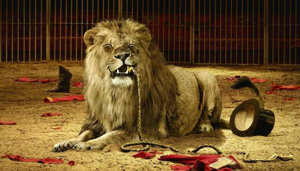 بالفيديو- مشهد مرعب في سيرك... أسد يلتهم ذراع مدرّبه