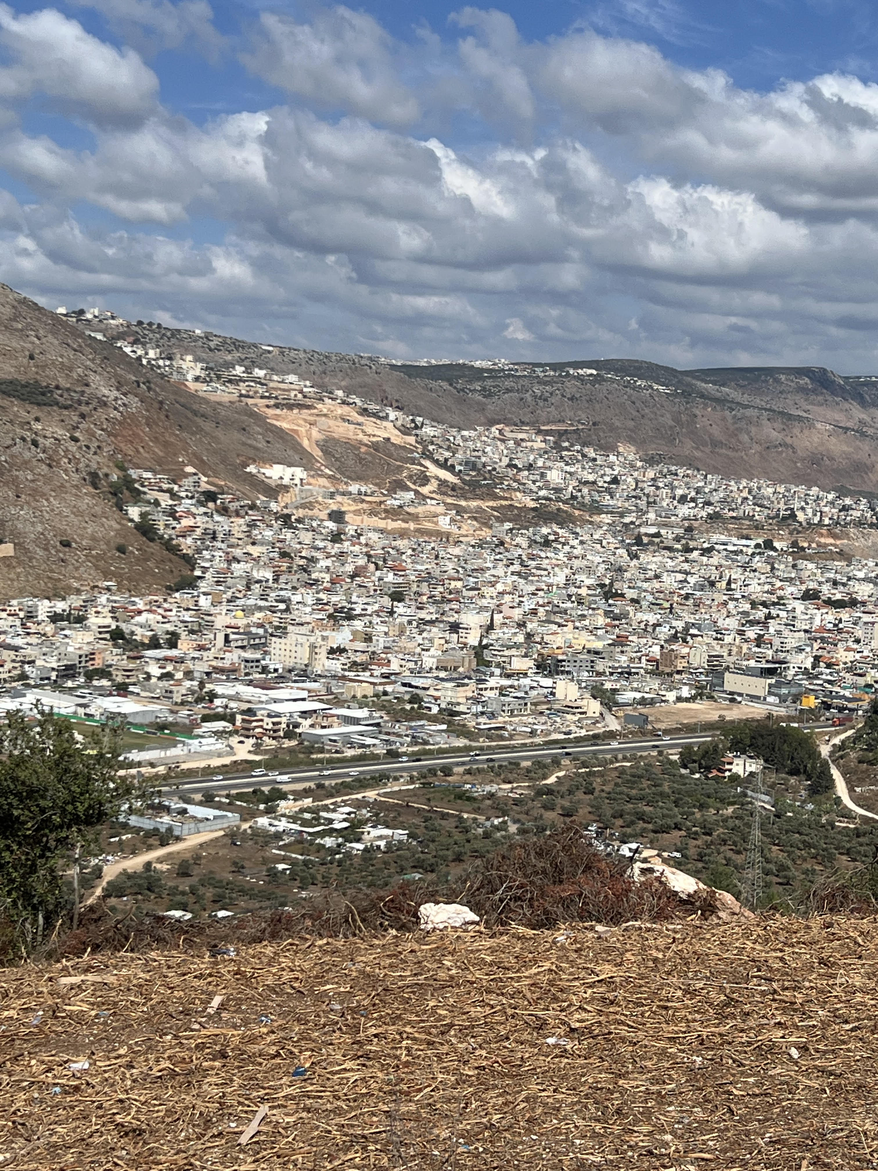 بلدة مجد الكروم في الجليل. (النهار)