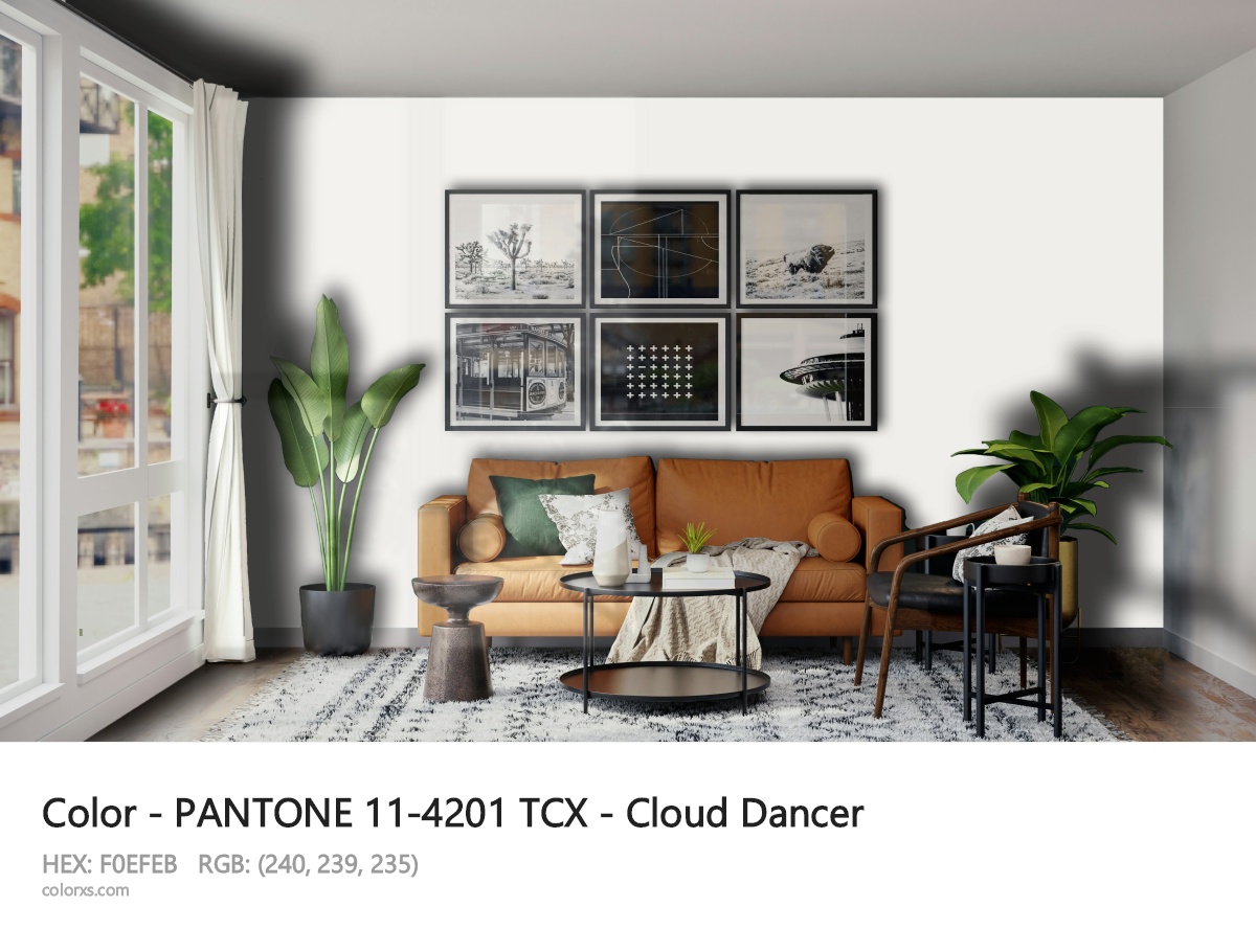 لون Cloud Dancer المعروف أيضاً بـ Pantone 11-4201. (غوغل).  