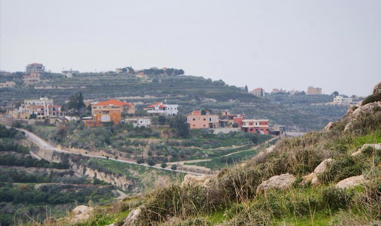 النبطية. (وكالات)