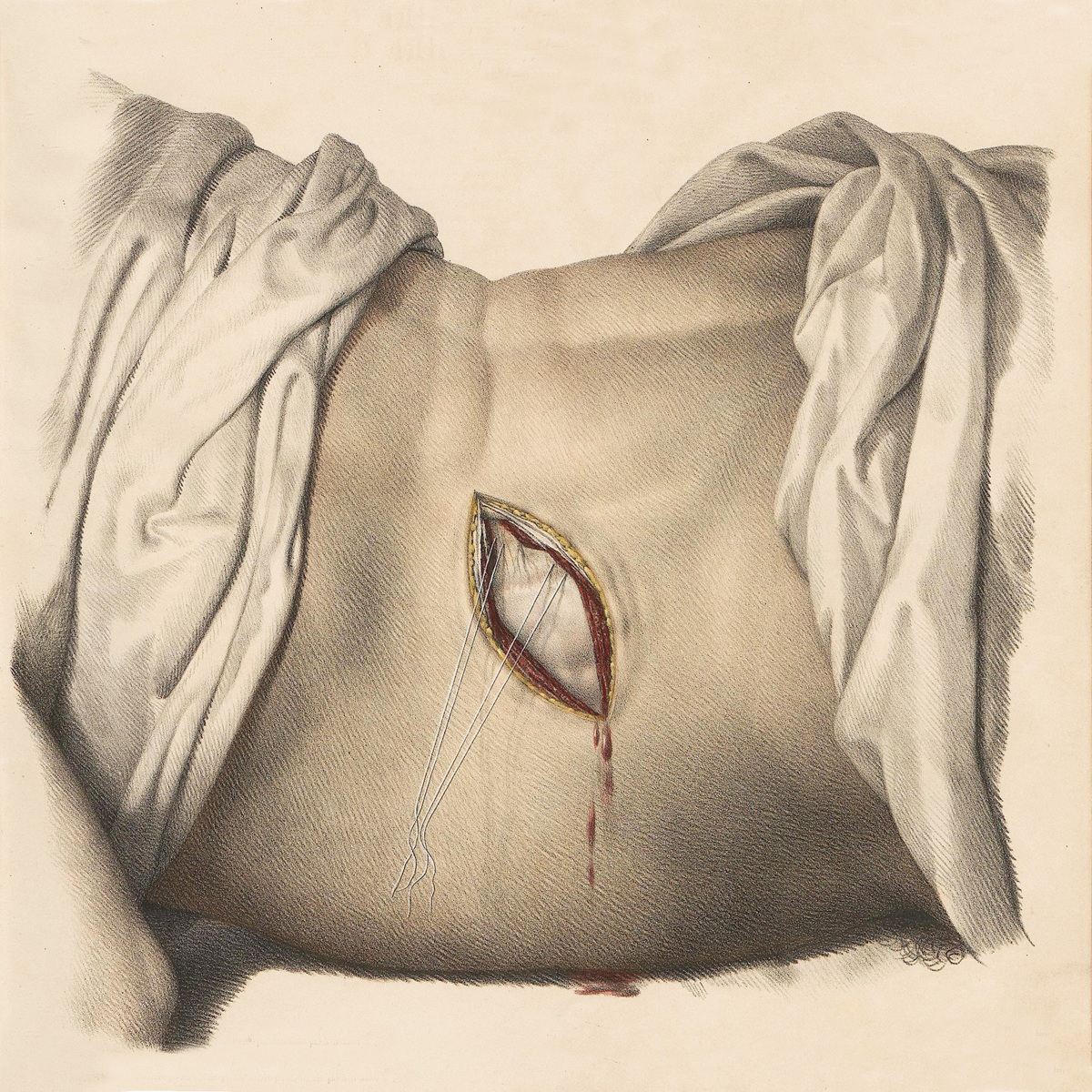 عرض الافتتاح 'نوت' (Nôt) المستوحى من 'ألف ليلة وليلة'. (أفينيون)