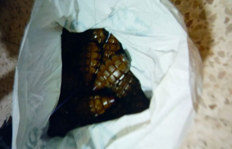 صورة للمضبوطات (الجيش اللبناني).