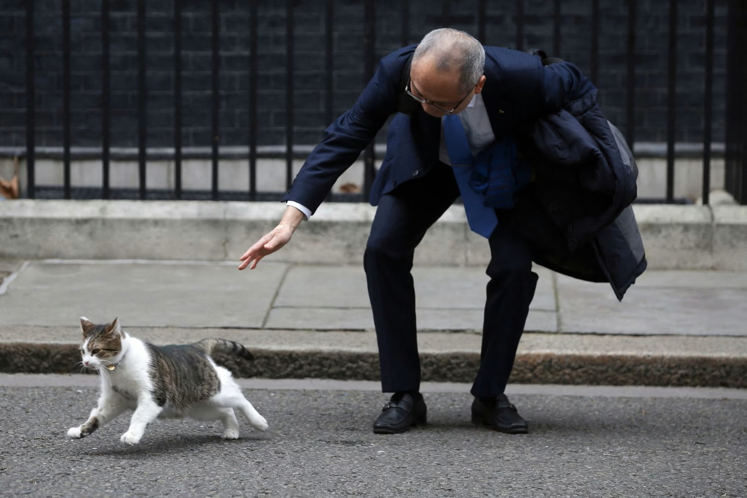 القط البريطاني لاري (أ ف ب).