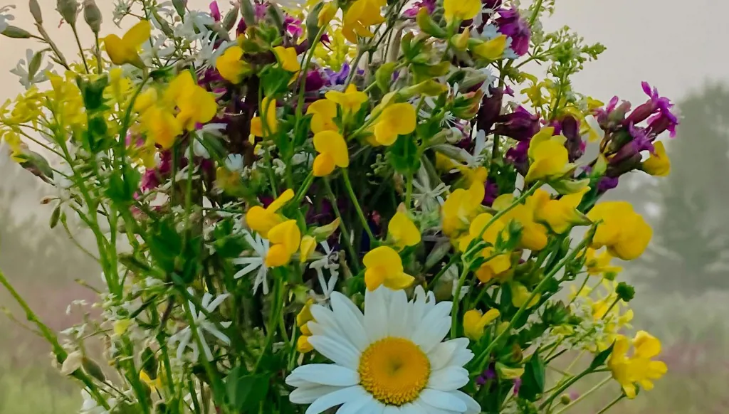 بلسم الحياة في روح واحدة