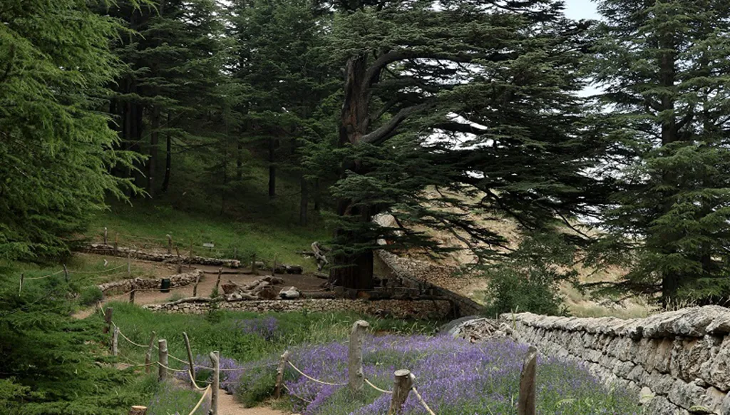 وقفُ السماء لبنان