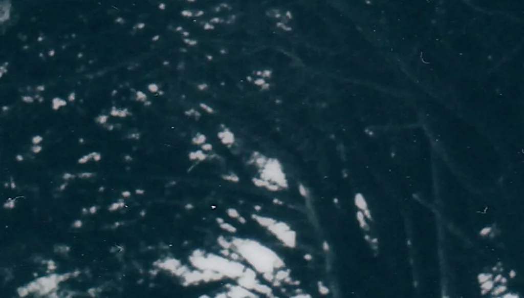 وهم النسيان