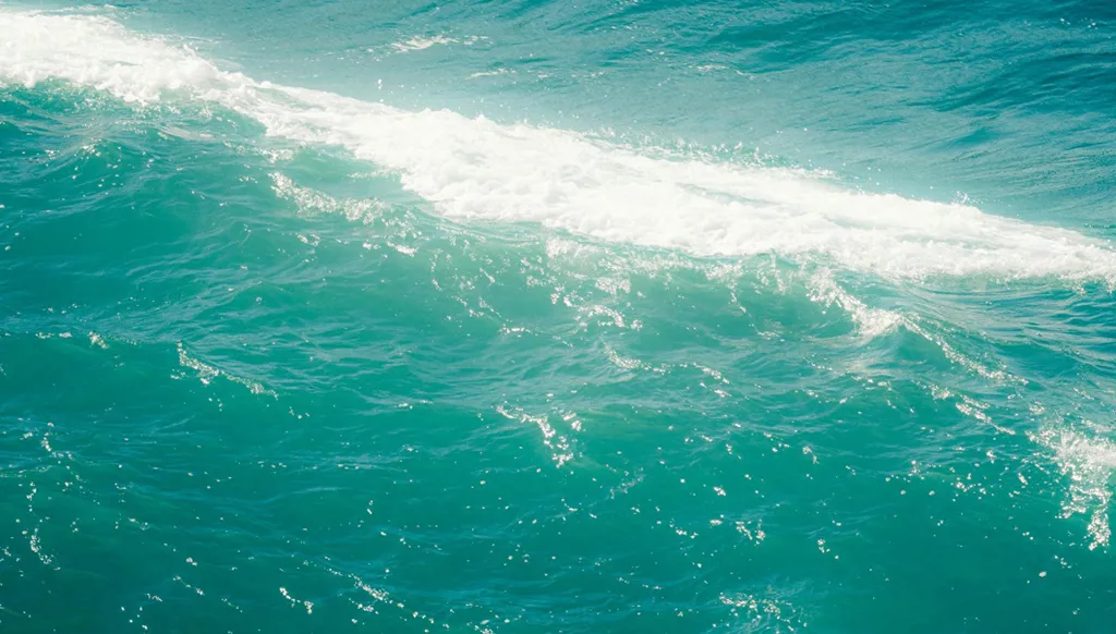 ريشة على جدار السماء