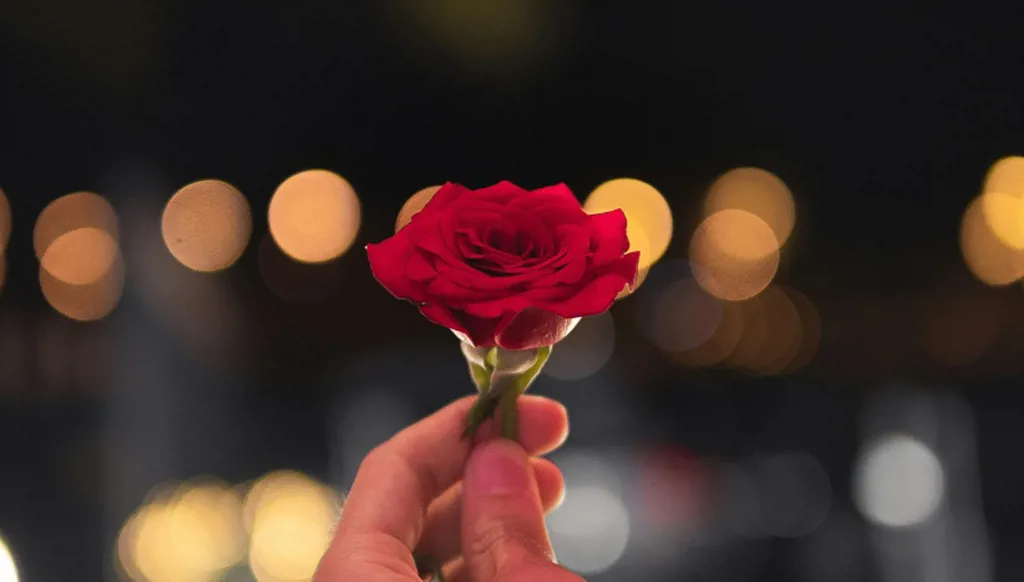 لا يعود… ولا يُدرك… ولا يُنسى