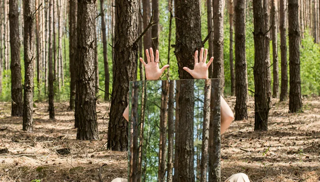 الخيال… الحقيقة الأجمل!