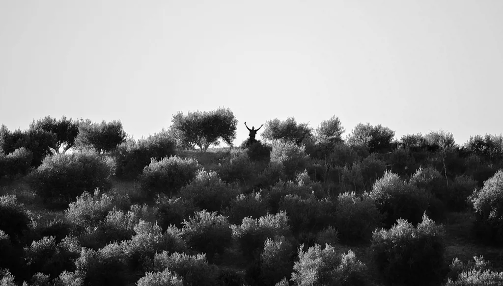 أيها الصوت اليتيم!