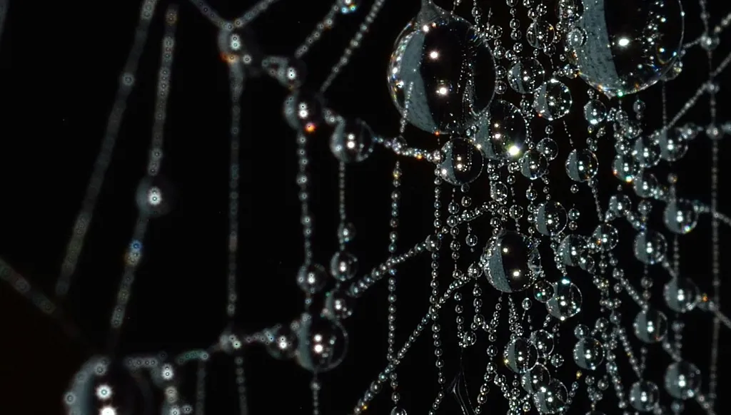 بين الوفاء والمستحيل