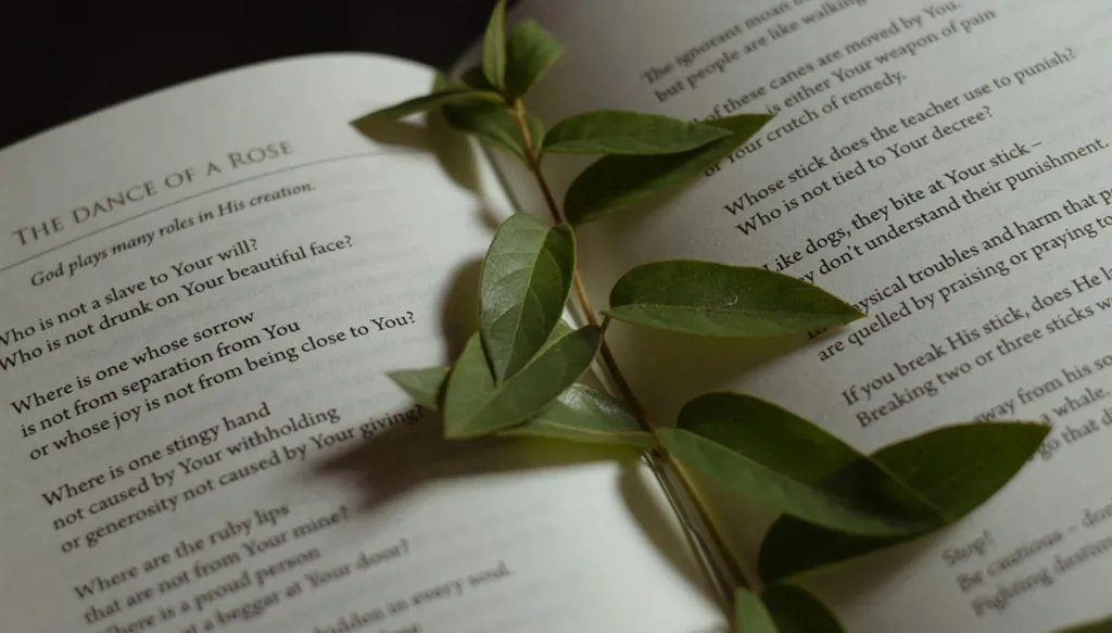 قد أكون خاتون سلمى