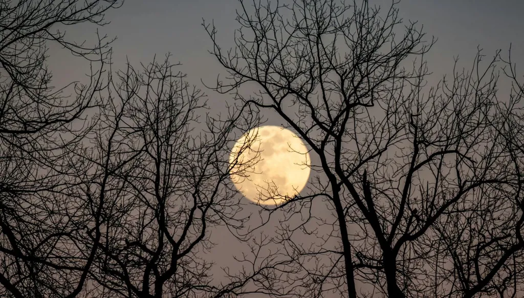 اكتمال القمر... 13 بدراً تضيء السماء بين العلم والجمال