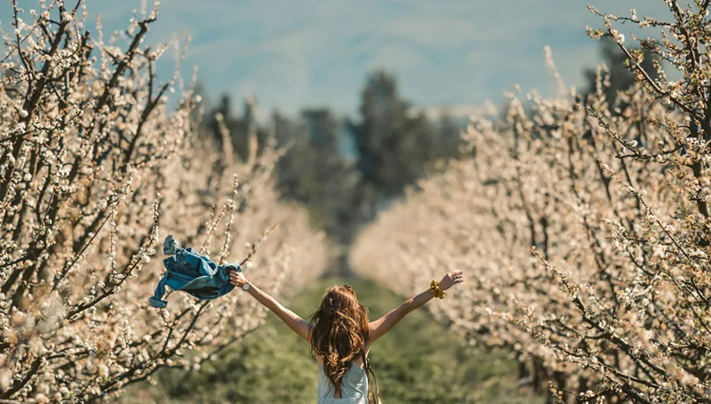 جمال الحياة في مشوار العمر