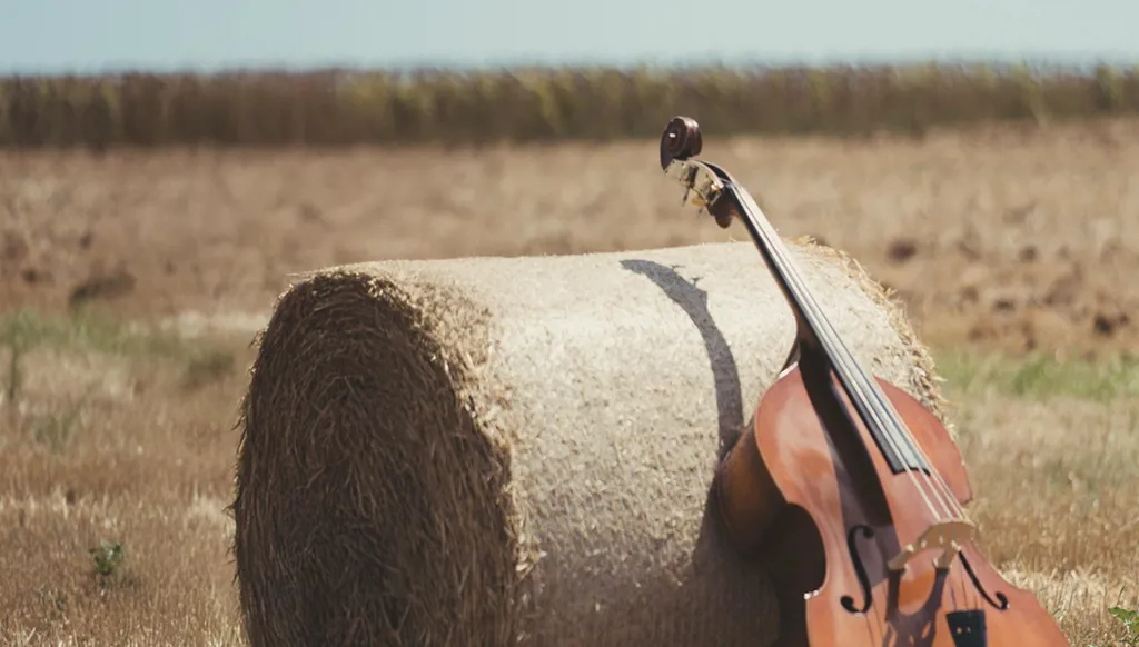 دور الأدب في تغيير المجتمع: الكلمة التي تصنع ثورة