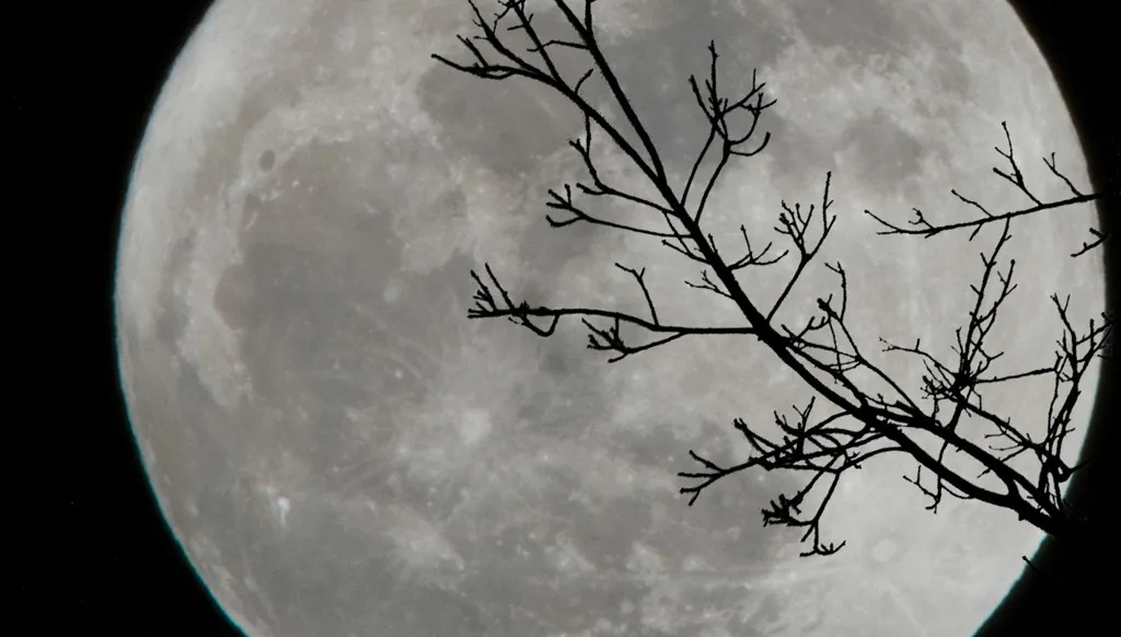 "قمر الذئب" يزيّن سماء الشتاء في ظاهرة فلكية فريدة