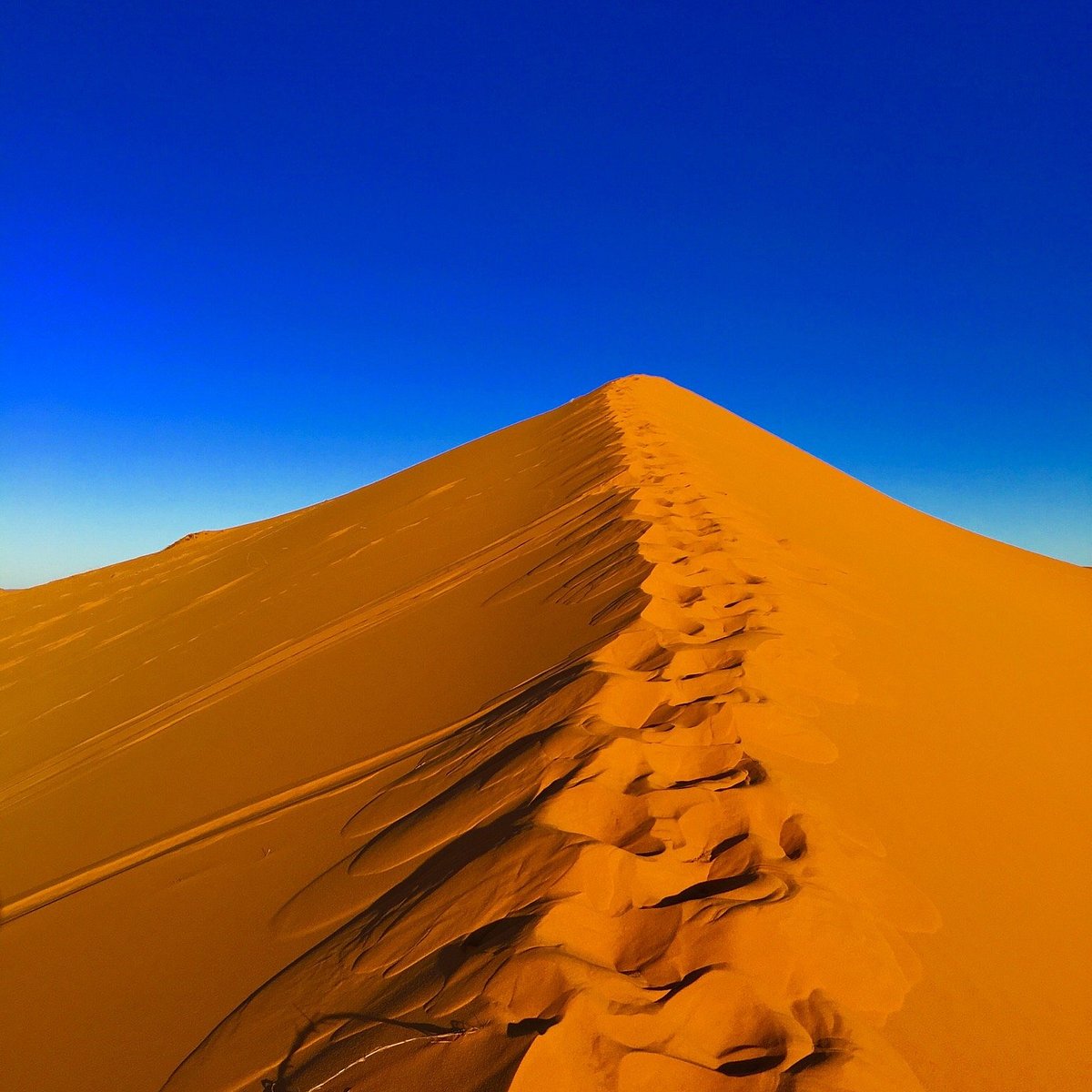 عرق الشبي في المغرب. (وكالات)
