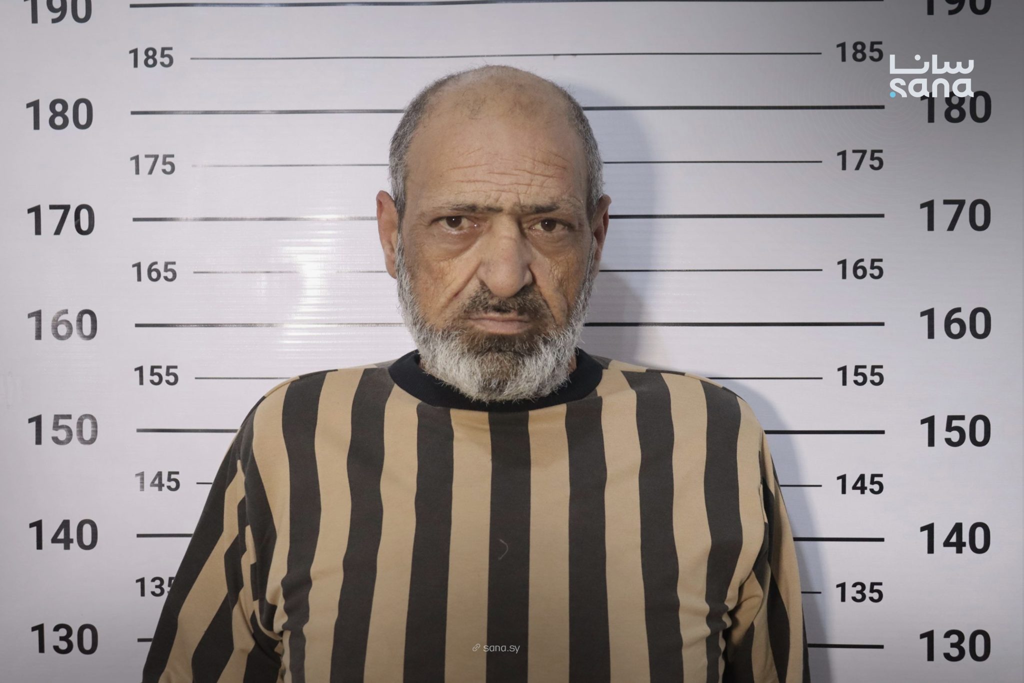 من أفراد الخلية (سانا).