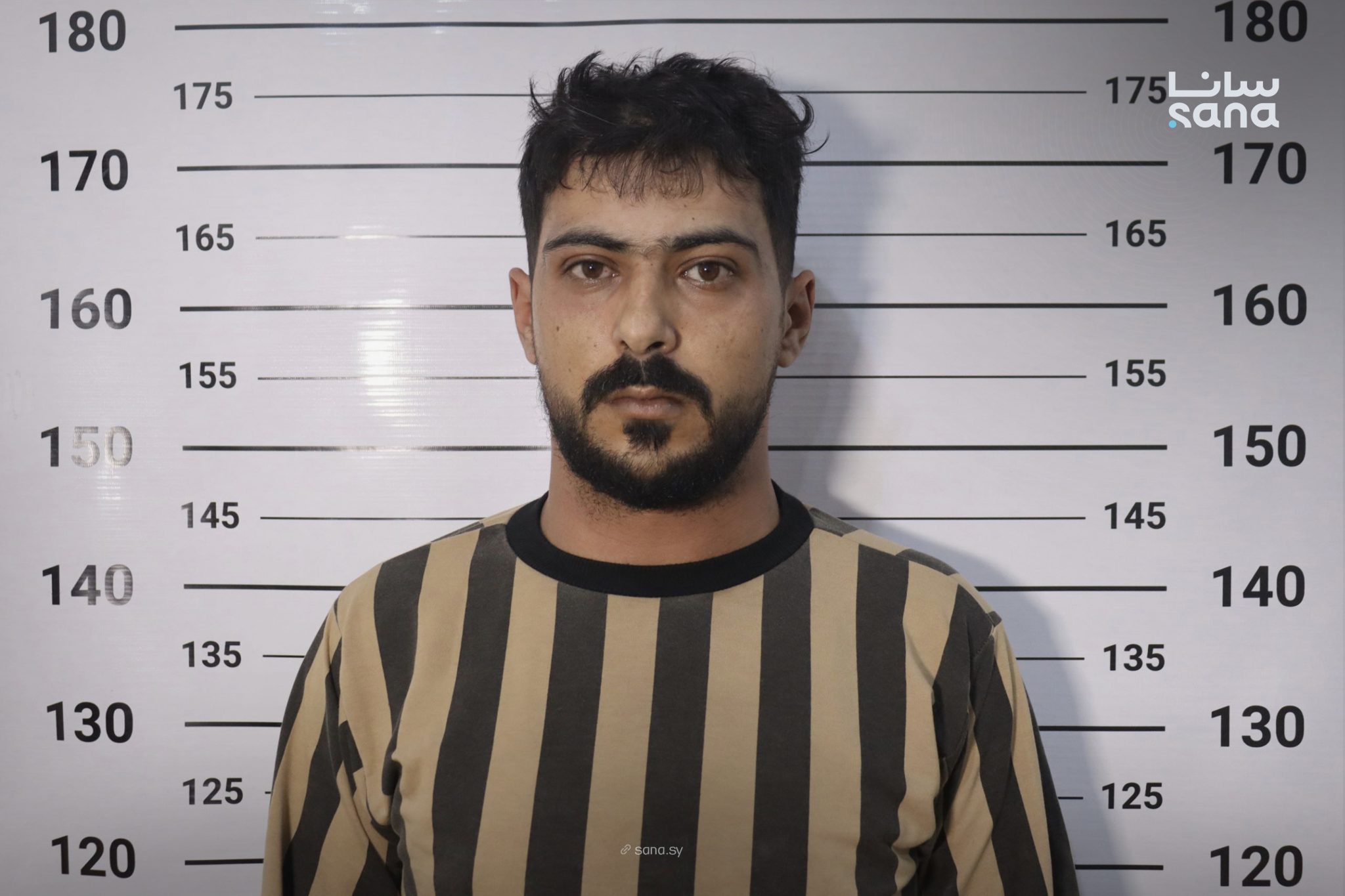 من أفراد الخلية (سانا).