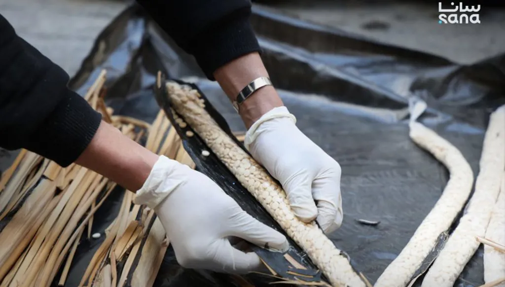 إحباط تهريب 180 ألف حبة كبتاغون من سوريا إلى السعودية (صور)