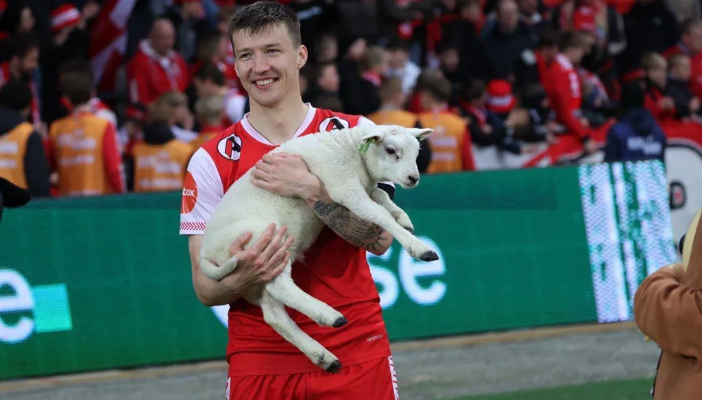 فريق هالاند السابق يمنح رجل المباراة "خروفاً" هدية (فيديو)