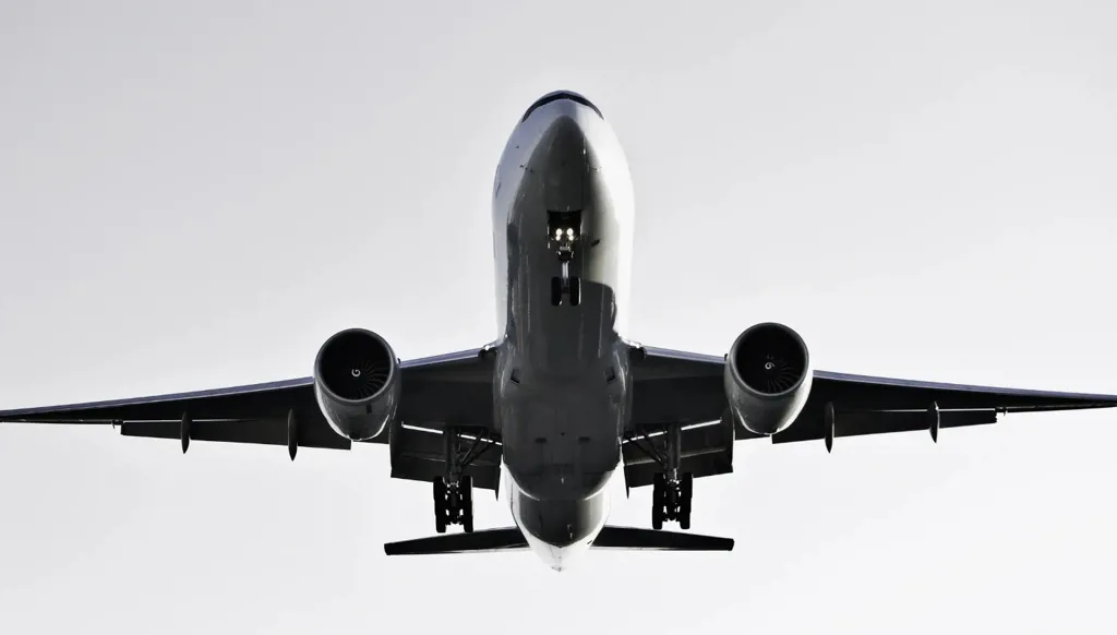 فأر يُفاجئ رحلة جوية... فماذا عن طعام الركاب؟ (فيديو)